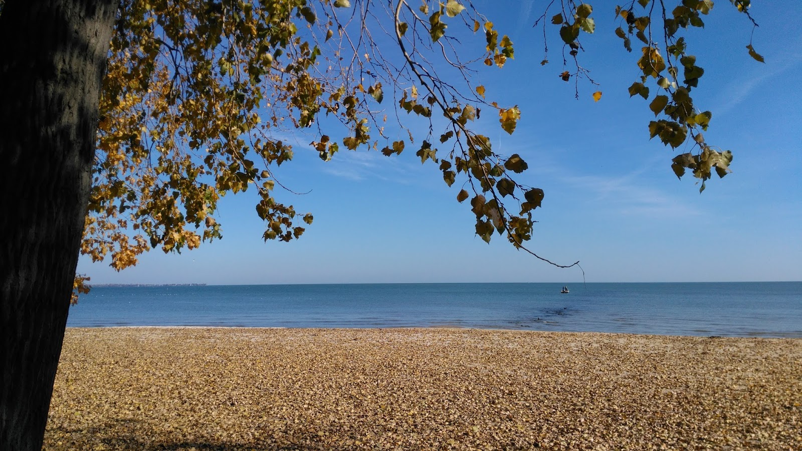 ramblingriggs Camping in November? Yes, please!