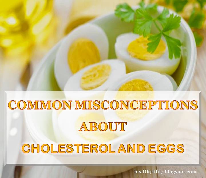 COMMON MISCONCEPTIONS ABOUT CHOLESTEROL AND EGGS