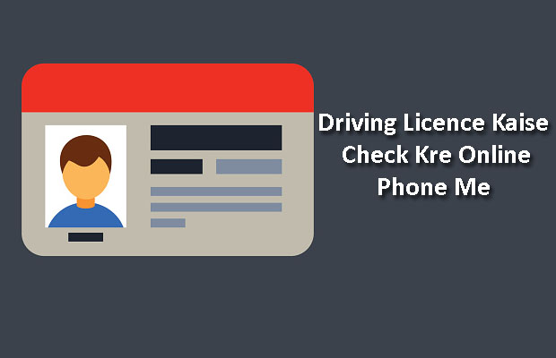 driving licence check driving licence check