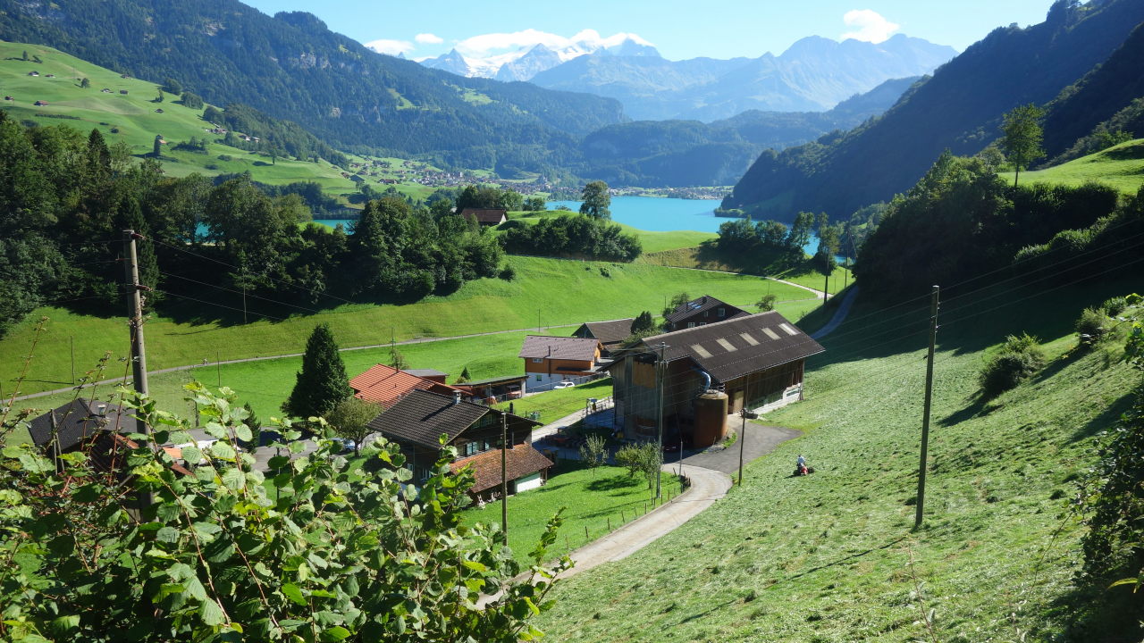 Bilder und Texte zu meinen Wanderungen mit Hund Von Turren über Sädel