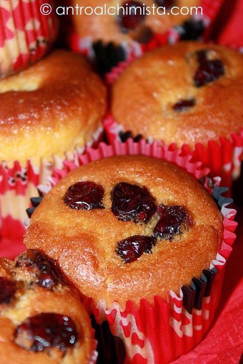 Muffins ai Mirtilli