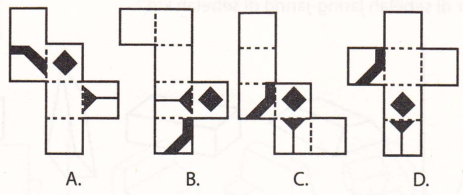 Contoh Soal Psikotes Jaring Jaring Bangun Ruang
