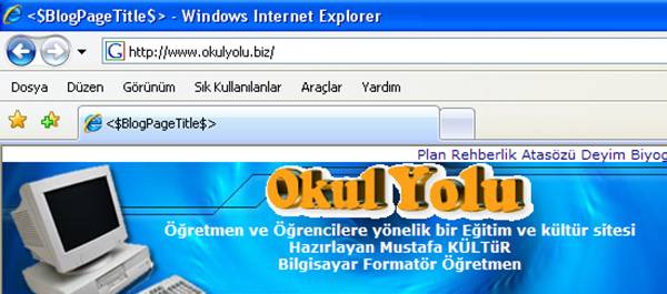 İnternet kullanımı
