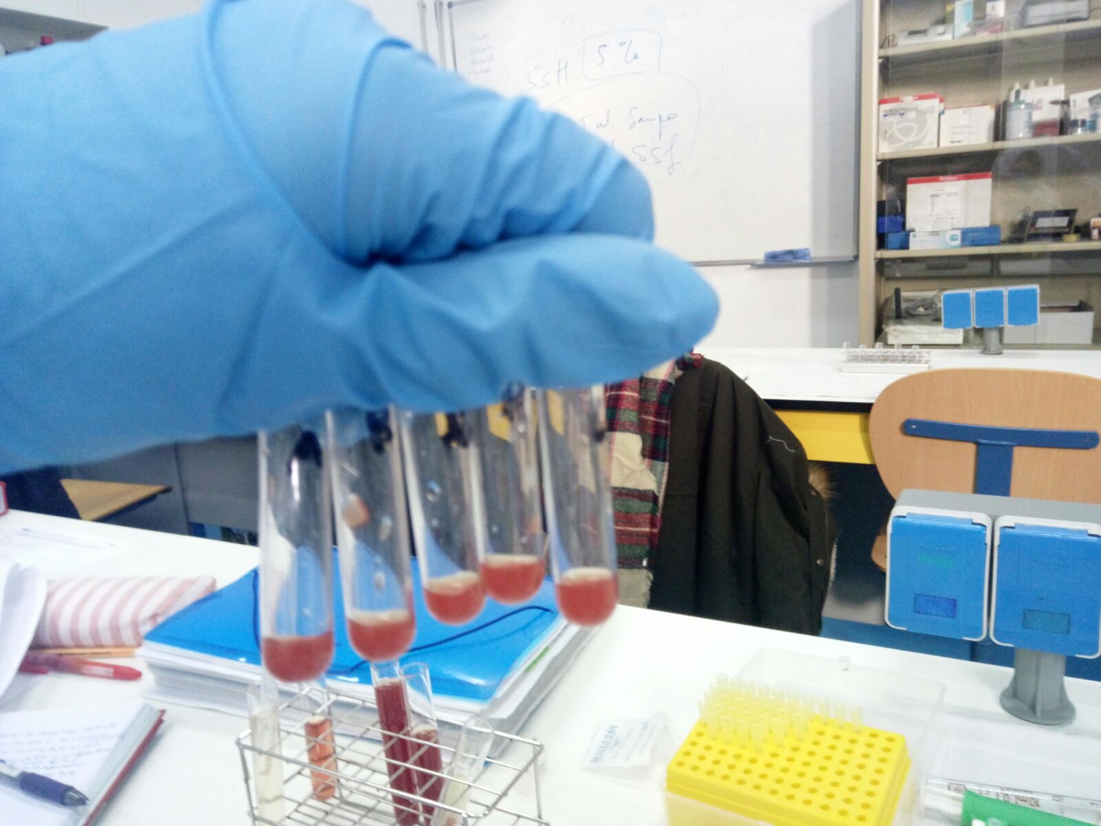 HEMATOLOGIA PRACTICA 6 DETERMINACIÓN CELULAR DE