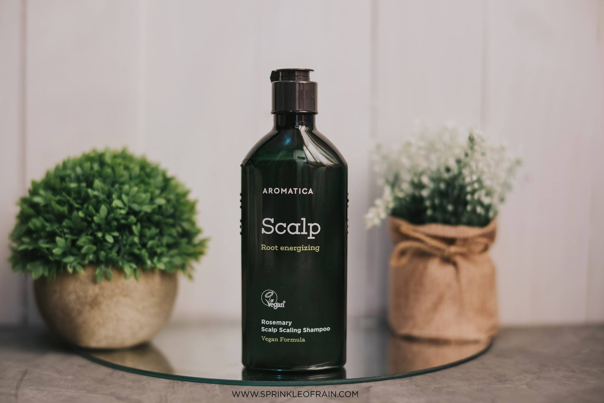 Probiotics scalp scaling. Шампунь aromatica rosemary scalp scaling. миниатюра шампунь aromatica rosemary scalp scaling shampoo (20ml)mini. арм шампунь rosemary scalp scaling shampoo 250ml. шампунь deoproce rosemary scalp shampoo 200g.