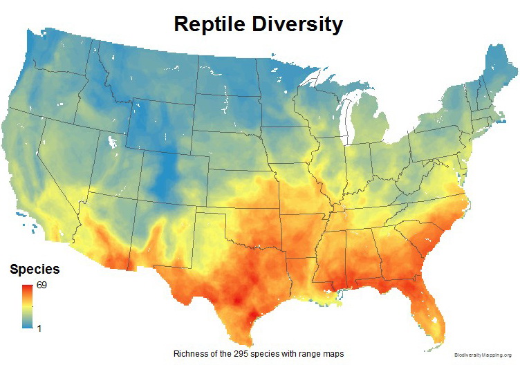 Reptile diversity