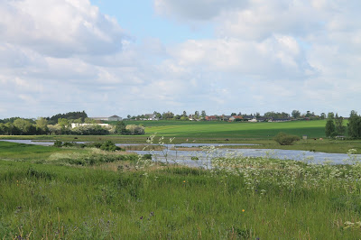 Vandringsløse Tidende: juni 2015