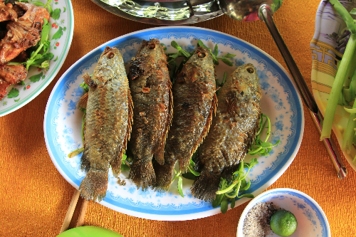 ca-ro-dong-chien-xu-dac-san-quang-tri ca-ro-dong-chien-xu-dac-san-quang-tri