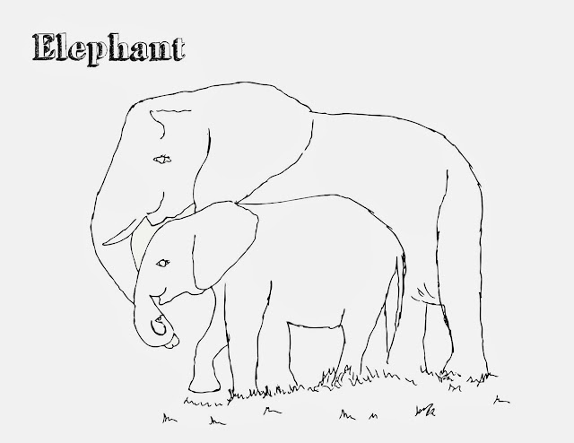 Elephant Mom Baby Coloring Drawing Free wallpaper