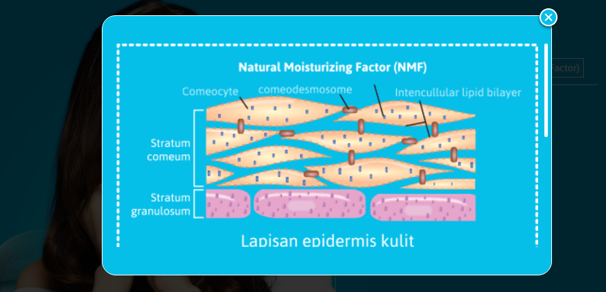 Натуральный увлажняющий фактор. NMF натуральный увлажняющий фактор. NMF кожи. Увлажнение кожи NMF. NMF это что в косметологии.