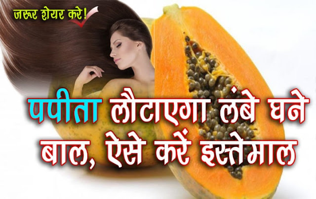 पपीता लौटाएगा लंबे घने बाल, जानें कैसे करें इस्तेमाल पपीता लौटाएगा लंबे घने बाल, जानें कैसे करें इस्तेमाल
