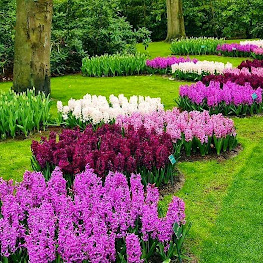 Asyiknya Mengunjungi Taman Narmada di Lombok