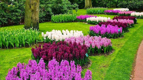 Asyiknya Mengunjungi Taman Narmada di Lombok