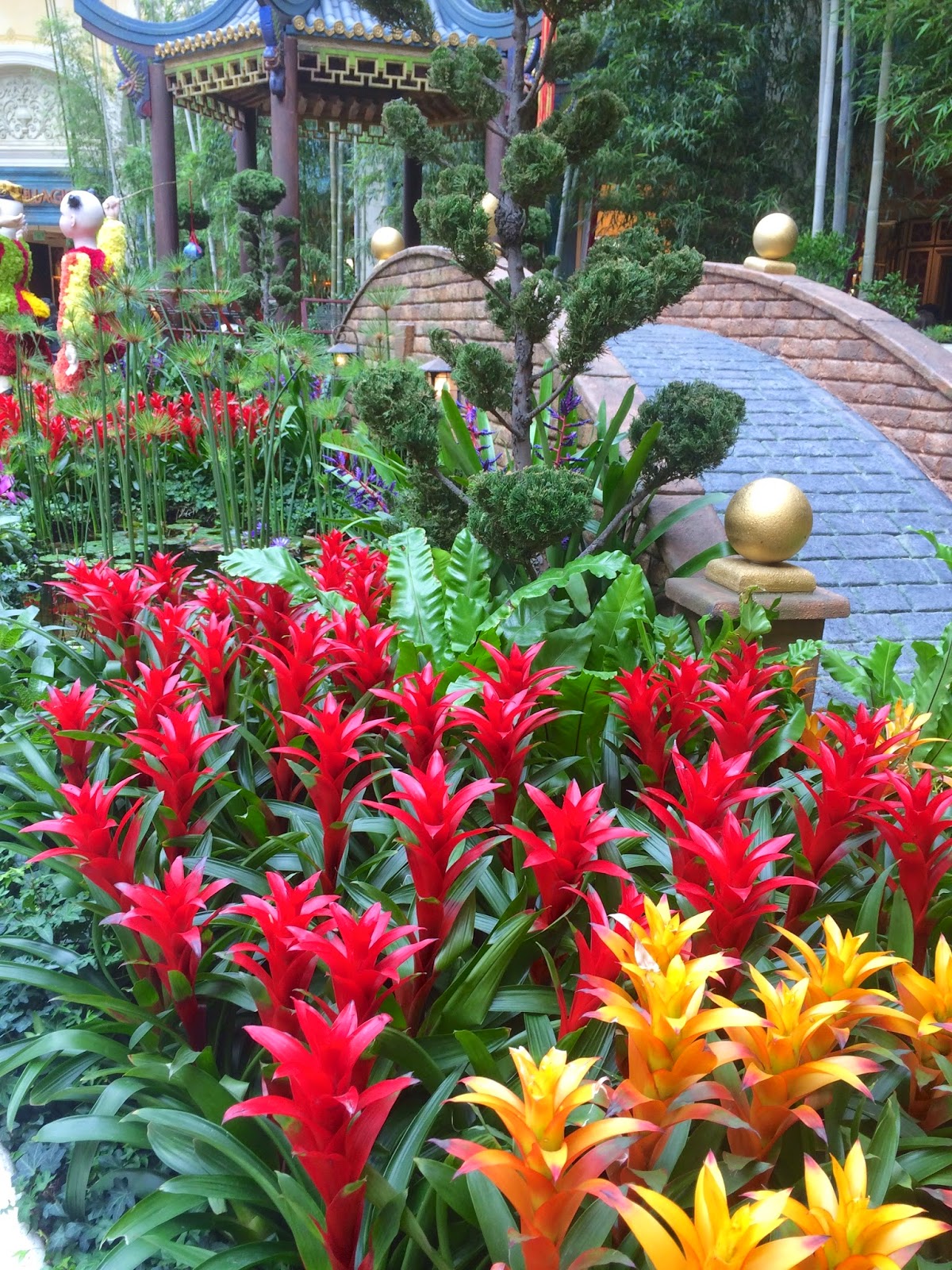 Red House Garden: Winter Vacation! Flowers on the Las Vegas Strip Best House Plants For Las Vegas