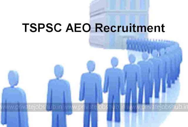 TSPSC AEO Recruitment TSPSC AEO Recruitment