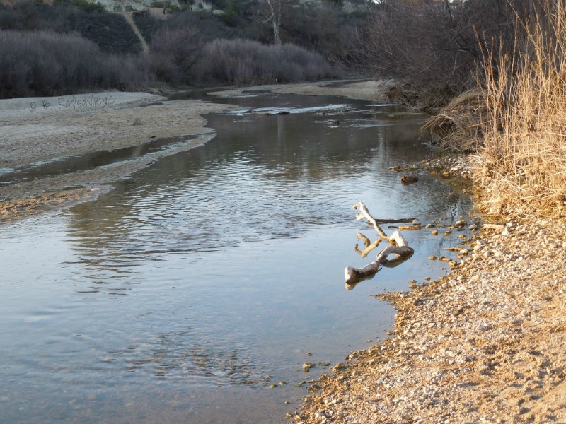 Photographing the Salinas River: A Review