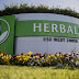 Herbalife Through Everything You Need To Know About Herbalife Business