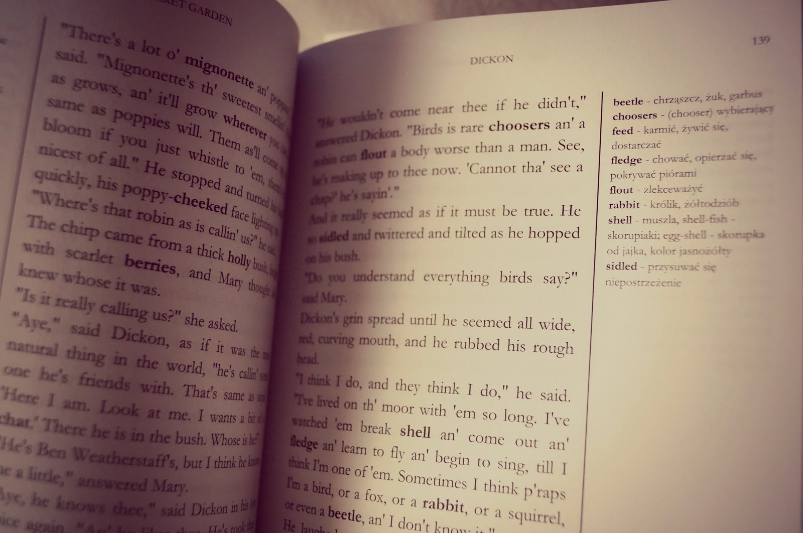 Czytamy Po Angielsku Czyli Ze Slownikiem Porady Dla Czytajacych W Oryginale Books Of Souls