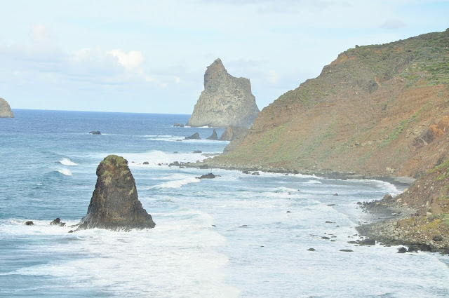 _DSC0997%2B%25282%2529.JPG