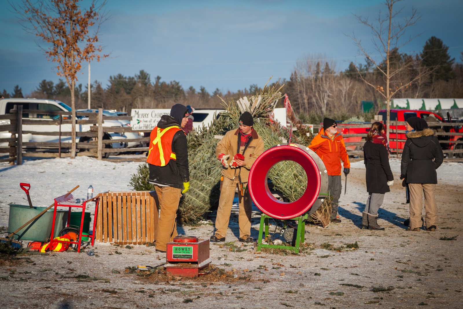 Cut Your Own Christmas Tree This Winter Explore the World with Simon