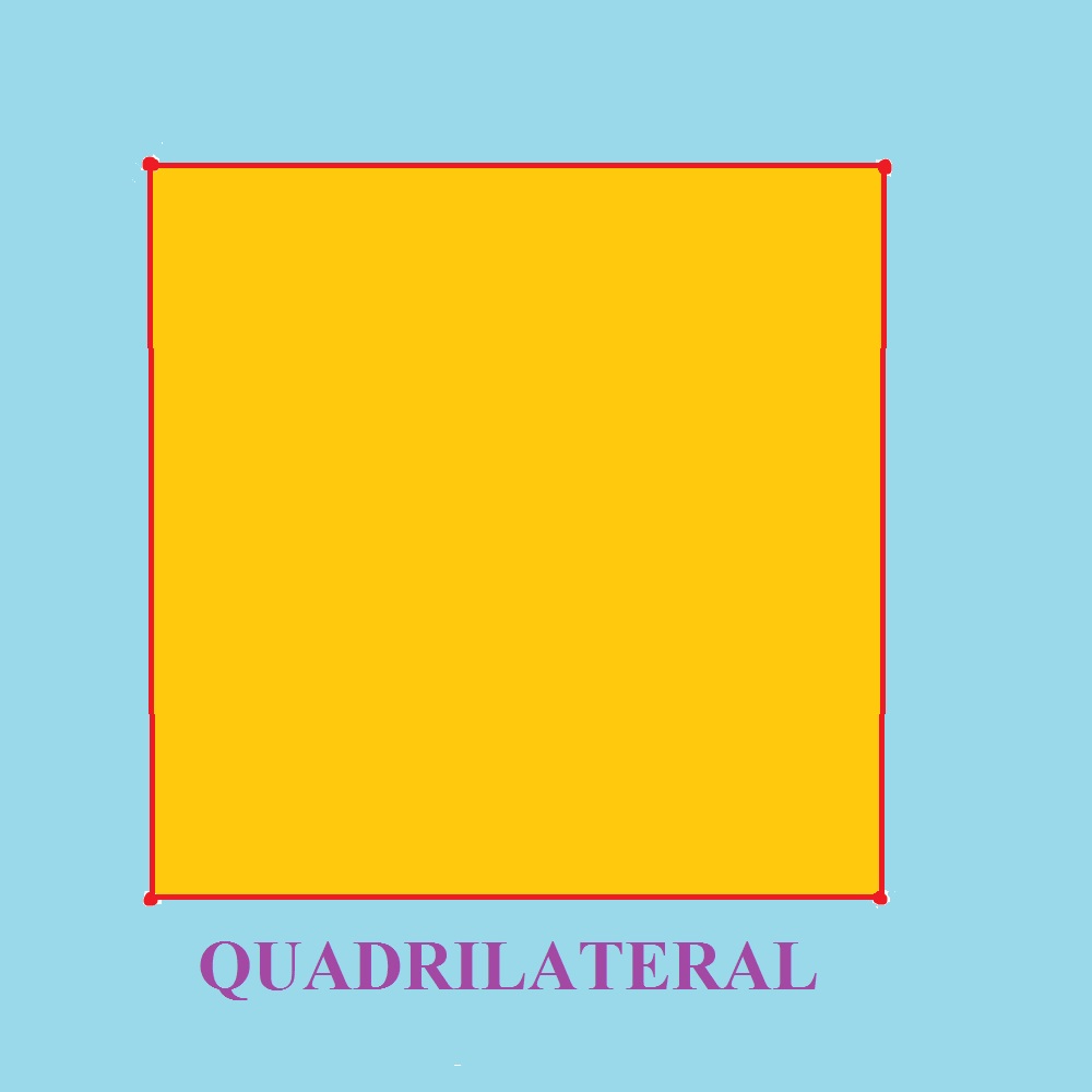 Best How To Draw A Quadrilateral of the decade Check it out now 