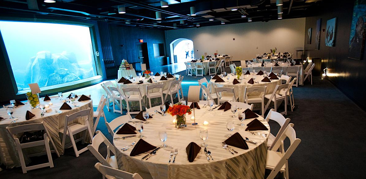 Pittsburgh Zoo Wedding Venues Pittsburgh Zoo Wedding Venues