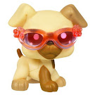 Littlest Pet Shop Singles Boxer (#1516) Pet