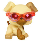 Littlest Pet Shop Singles Boxer (#1516) Pet