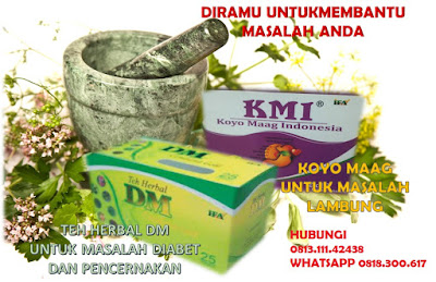 Koyo Maag Indonesia