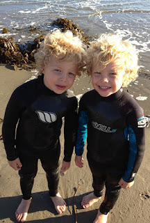 twins-1099339_960_720