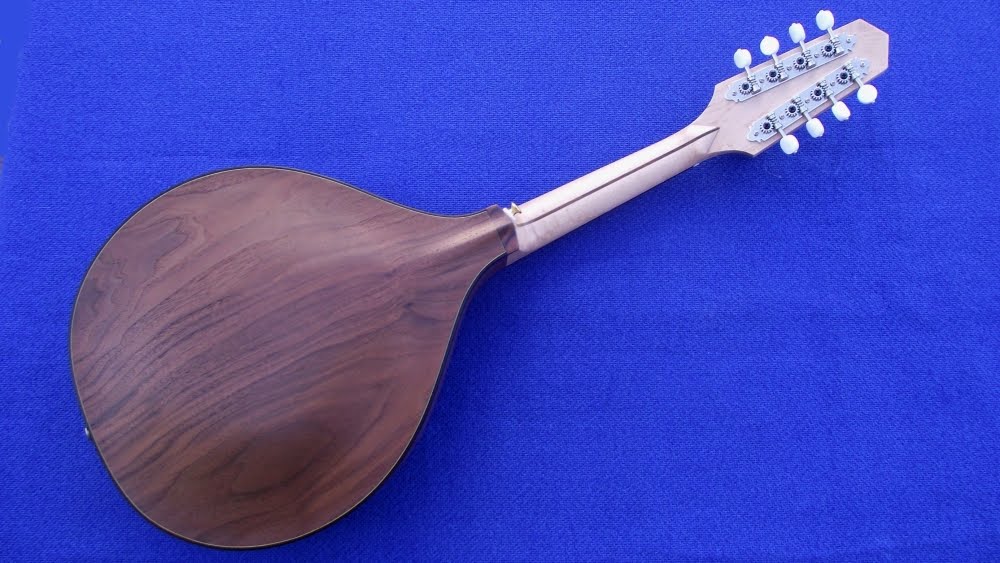 A Luthier's Blog Archtop Mandolin Completed (and For Sale)