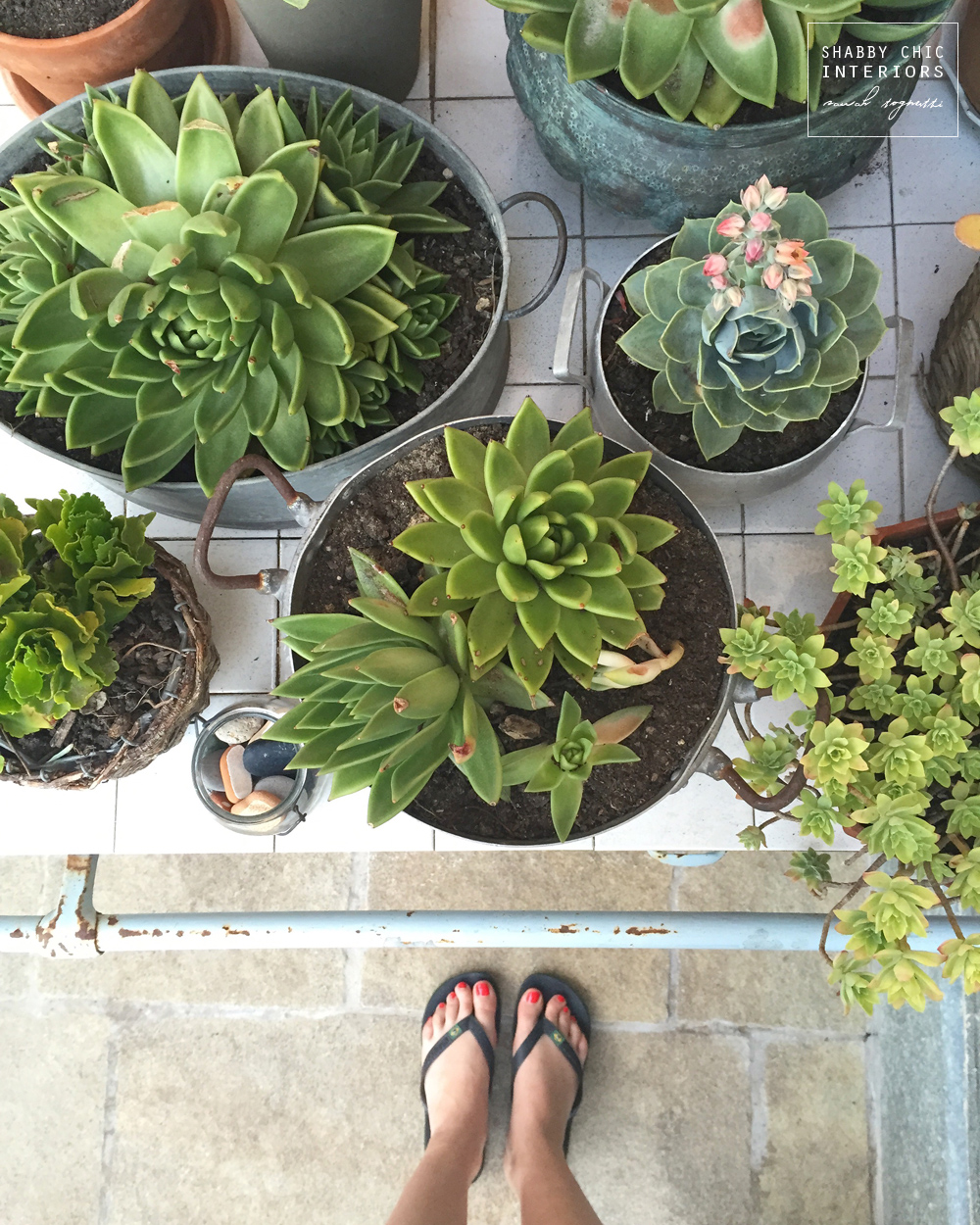 Il mio piccolo giardino shabby chic interiors