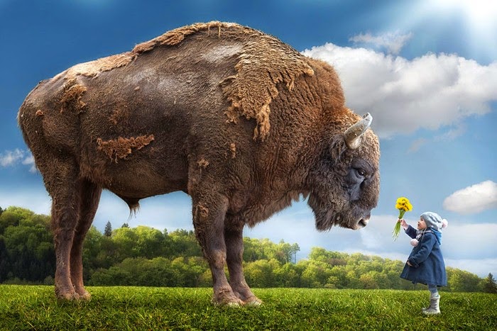 Мир фантазии и воображения. John Wilhelm Мир фантазии и воображения. John Wilhelm