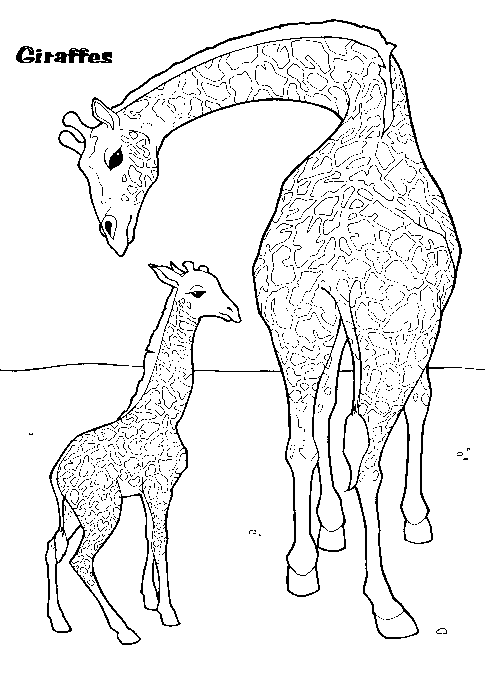baby animals with their mothers coloring pages - photo #28