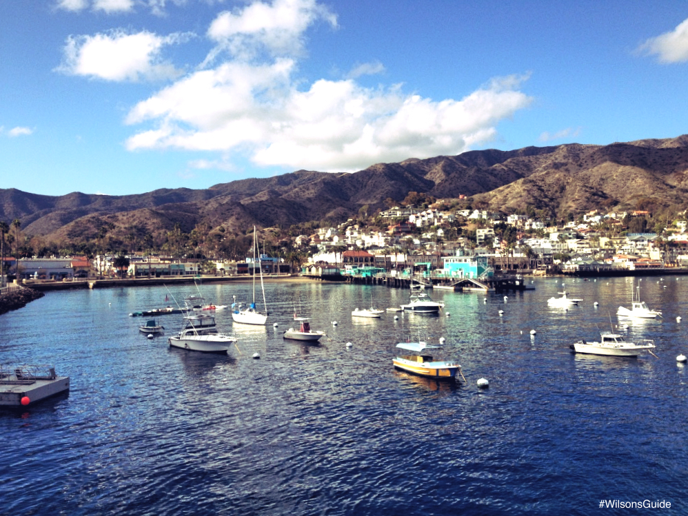 Catalina Island Ferry Discount Codes Catalina Island Ferry Discount Codes