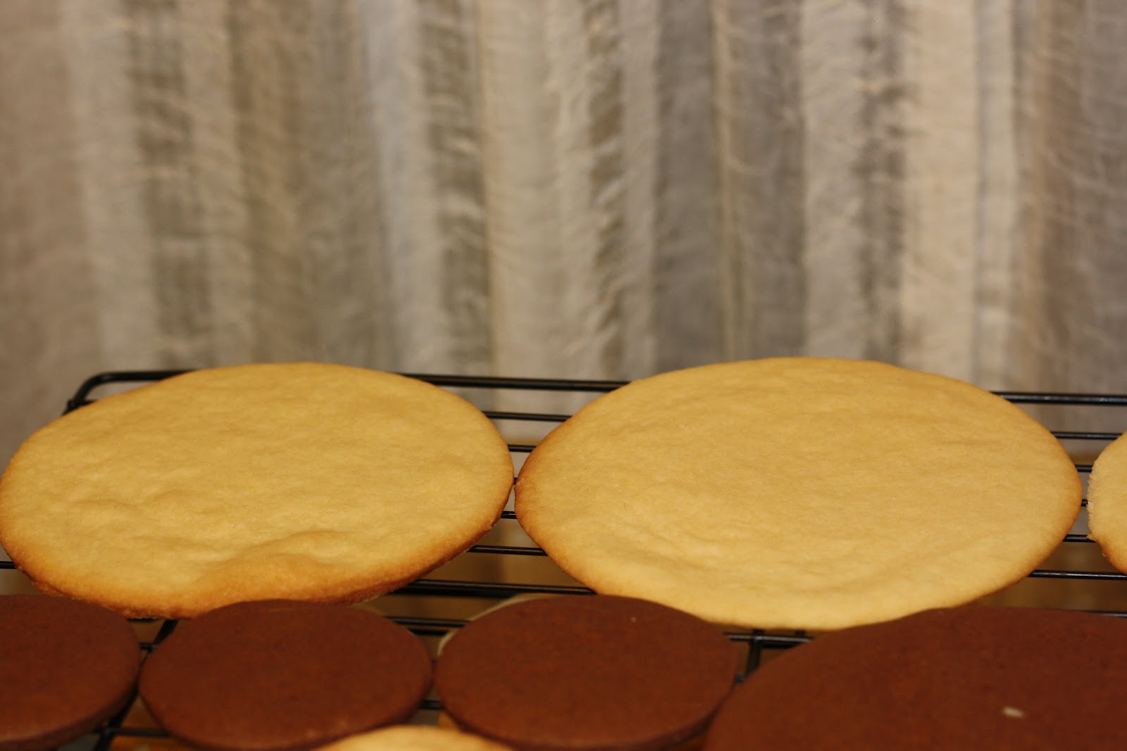 You Want Me to Cook? Wilton’s RollOut Cookies