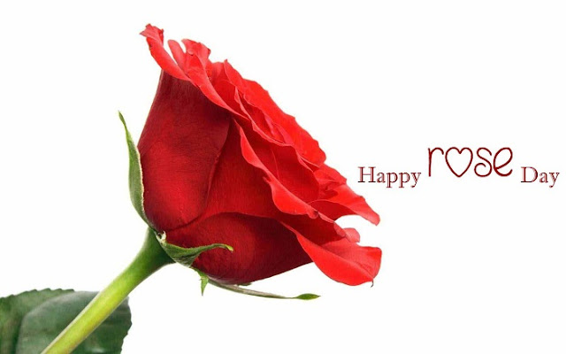 Happy Rose Day Images for Facebook Happy Rose Day Images for Facebook