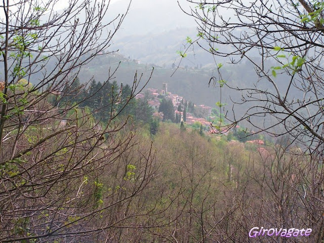 Sorana Toscana