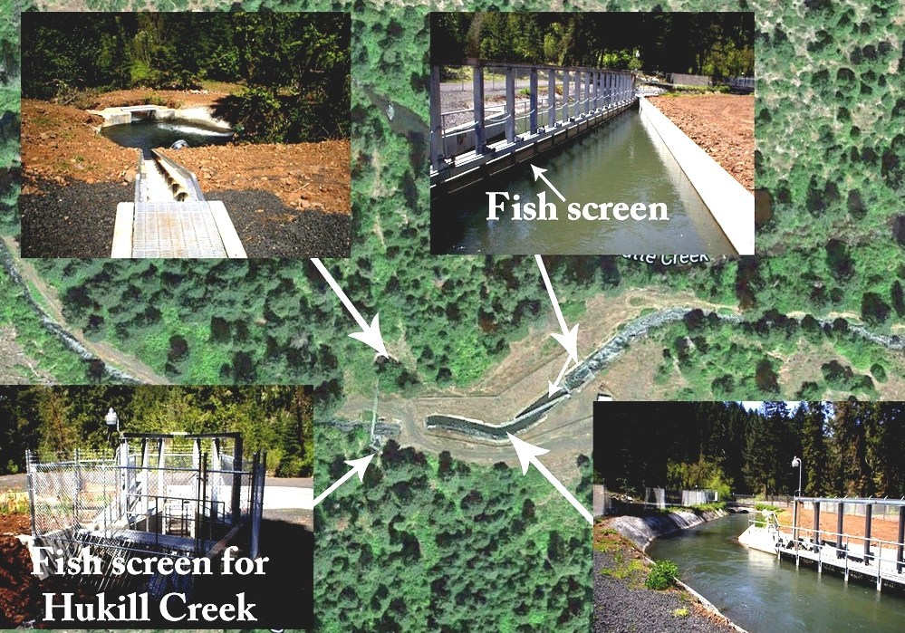 Fish Screen - Fish Screens