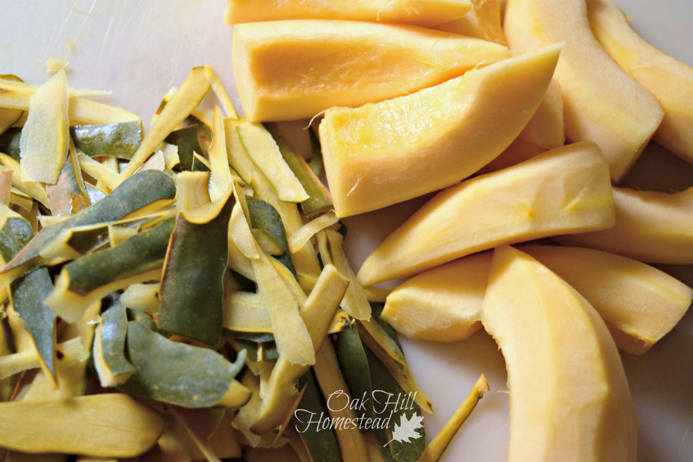 How to Freeze an Acorn Squash and Save Its Seeds Oak Hill Homestead