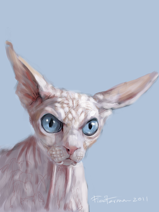 William Fiesterman One Painting or Drawing Per Day Evil Hairless Cat