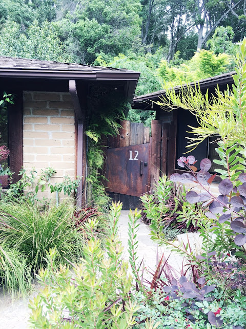 glen oaks big sur, glen oaks, glen oaks hotel review, glen oaks motor lodge, glen oaks fireside king room