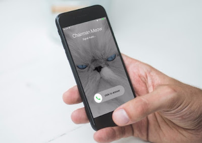 Encrypted App Signal Adds Feature for Secure Video Calls