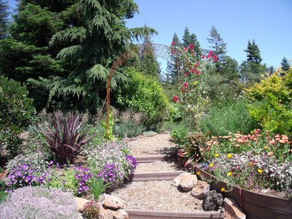 EL AGUA EN EL JARDÍN
