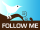 Follow me on Twitter (I KNOW!)