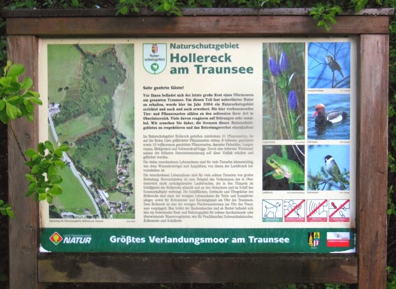 Naturschutzgebiet Hollereck am Traunsee