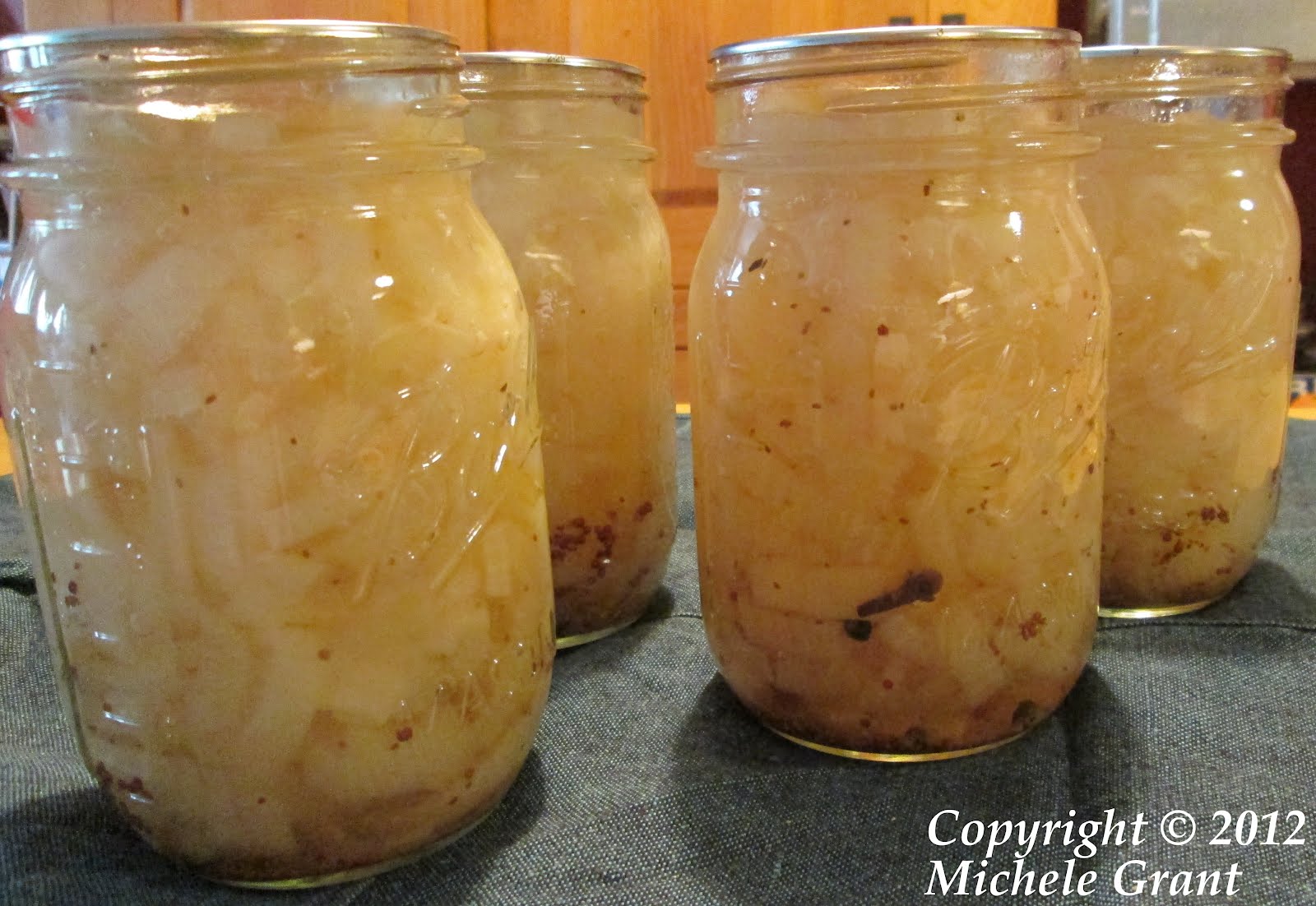 Rowhouse Livin' Home canning Onion pickle
