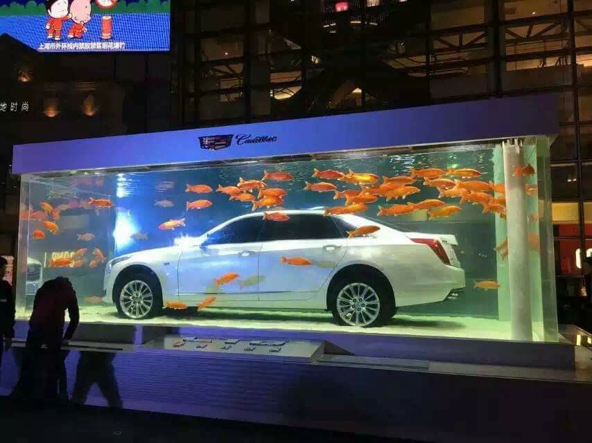 Trưng bày xe hơi trong bể cá khổng lồ