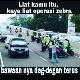 Koleksi Gambar Meme Foto Lucu Unik Operasi Zebra dan Razia Polisi Koleksi Gambar Meme Foto Lucu Unik Operasi Zebra dan Razia Polisi