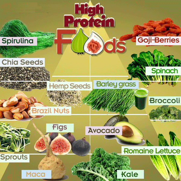 high-protein-foods